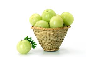 ayurvedic medicine